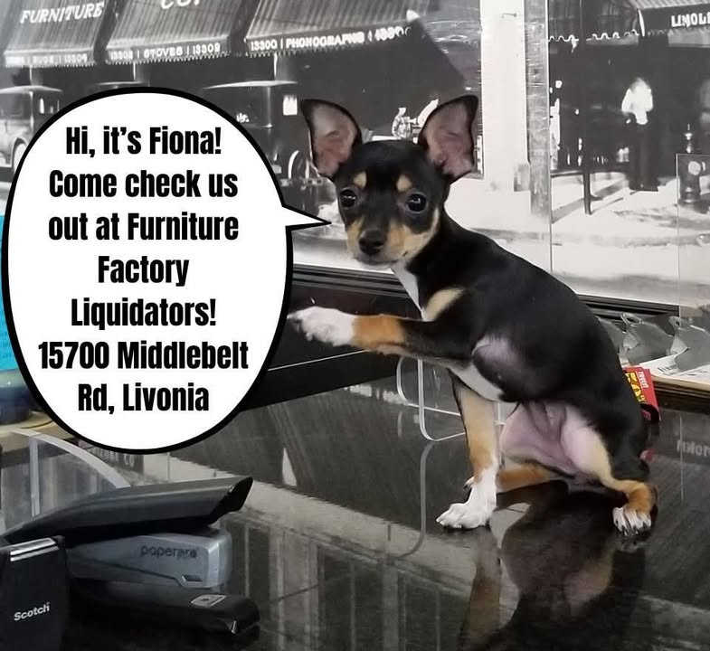 New Merchandise!! Check us out!!
15700 Middlebelt Road, Livonia (Between 5 & 6 Mile Rd.) #furniture 
#metrodetroit 
#womanownedbusiness